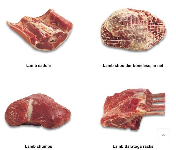 Lamb from 독일 supplied by Global Meat GmbH & Co. KG - Without Head (= Headless) 양고기