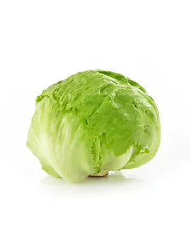 Iceberg Lettuce from 벨기에 supplied by Produce Services Europe - Granel 신선 상추
