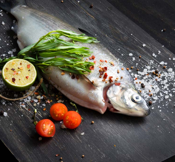 Whitefish from 핀란드 supplied by Ab Salmonfarm Oy - Whole (=In The Round) 냉동 화이트피쉬