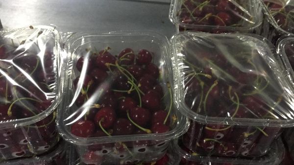 Sweet Cherry from Turkiye supplied by MelodiFruit (EMESA MERMER İÇ VE DIŞ TİC. LTD. ŞTİ) - Conventional Fresh Sweet Cherry