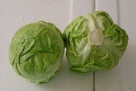 Cabbage from 중국 supplied by Shenzhen Maoxiong Industrial Co., Ltd. - Green 신선 양배추