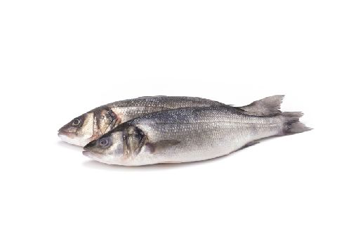 Sea Bass from 포르투갈 supplied by Coelho e Dias, S.A. - Tray 냉동 농어