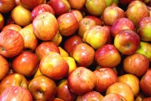 Fresh Apple from France supplied by LES VERGERS DE LARLENQUE - Red Fresh Apple