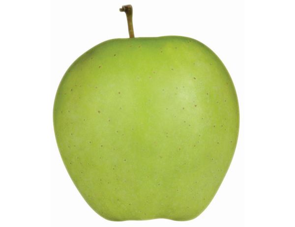 Golden Delicious from 폴란드 supplied by GTC Agro sp. z o.o. - Fresh (=Chilled) 신선 사과