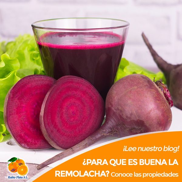 Beets from 스페인 supplied by Rubio Plata SL - Purple 신선 비트