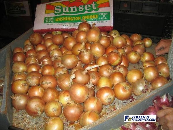 Onion from 미국 supplied by SL Follen Company - Raw 신선 양파