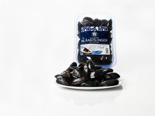 Fresh Mussel from 덴마크 supplied by Butler's Choice - Fresh (=Chilled=Raw) 냉동 홍합