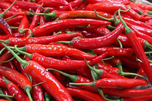 Chili from Kenya supplied by Kazam Fresh - Fresh Chili Pepper