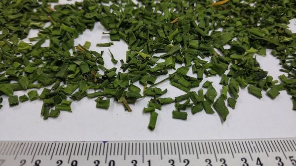 Dried Chive tubular from Poland supplied by P.W. Rekord Józef Szwajkowski - Green Mixed Spices Products