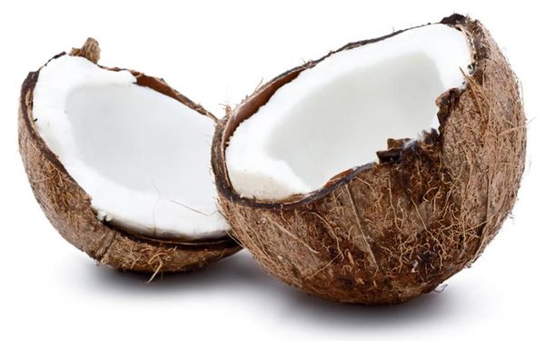fresh coconut from 스리랑카 supplied by euro west export (pvt)ltd - Fresh (=Chilled) 기타 신선 코코넛