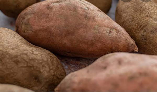 Hibiscus Ginger sweet potato and garlic from 나이지리아 supplied by Jimco easy business - Fresh (=Chilled) 고구마