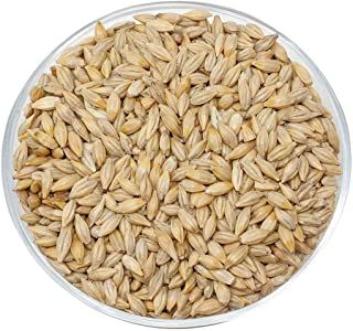 Barley from 독일 supplied by Bayernhof GmbH - FX - 사료 보리 X 보리