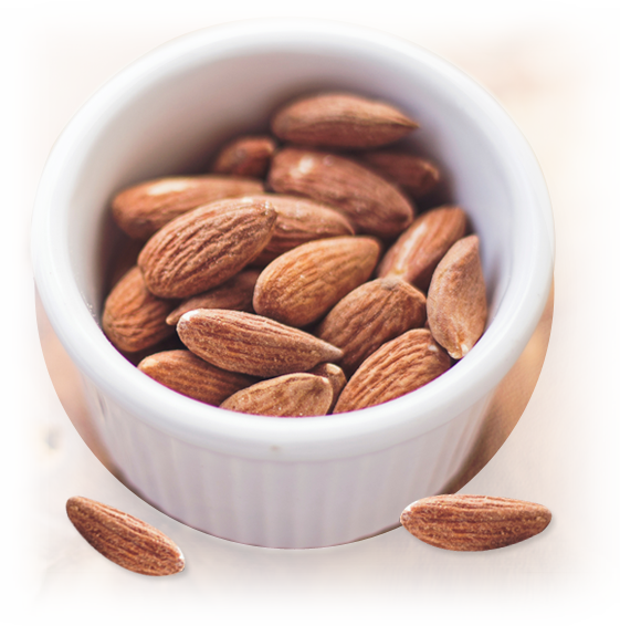 Raw Almond from United States supplied by Pacific Coast Sales - Fresh Raw Almond