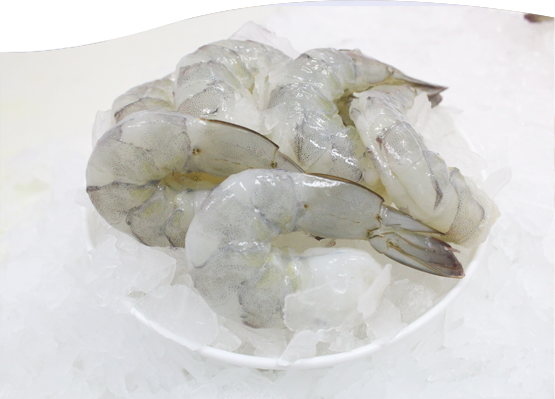 Frozen Shrimp from 인도네시아 supplied by Supreme Crab & Seafood Inc. - Peeled - P&D (Peeled and Deveined) (=PND) 냉동 새우