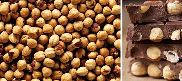 Whole Toasted Hazelnut from 스페인 supplied by Unio Corporacio Alimentaria - Whole 헤이즐넛 알맹이