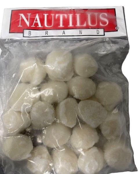 Frozen Scallop from 미국 supplied by Nautilus Seafood - Meat Only (=Shelled=Shucked) 냉동 가리비