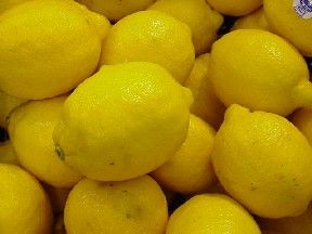 Fresh Lemon from 튀르키예 supplied by Ergün Halcilik Ambalaj İthalat İhracat Sanayi Ticaret Ltd. Şti. - Fresh (=Chilled) 신선 레몬
