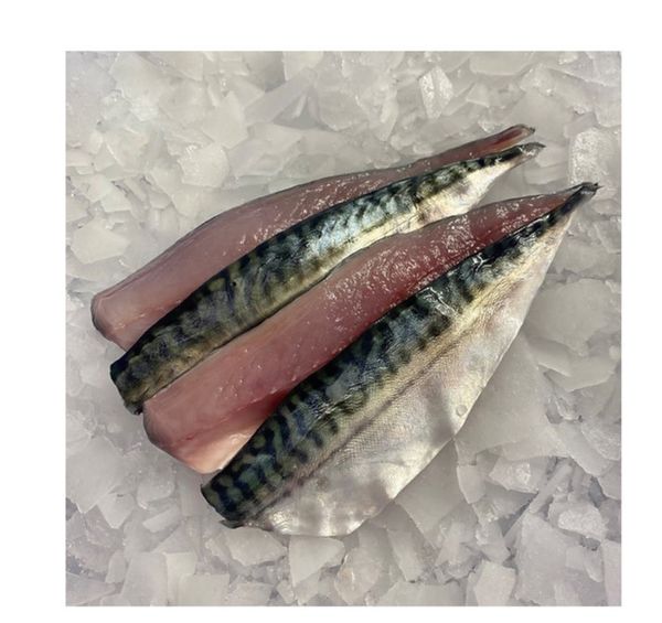 Mackerel from 영국 supplied by Matthew Stevens Cornish Fish - Fillet 냉동 고등어