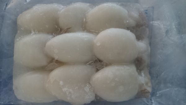 Frozen Cuttlefish from 베트남 supplied by Viko Seafood Company Limited - Skinless (=Skin Off) 냉동 오징어