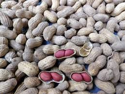 Sudanese peanuts from Sudan supplied by Samwadco - In-shell Peanut Kernel