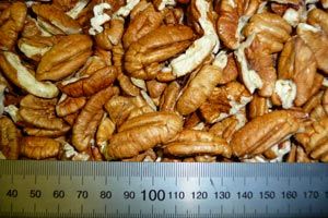 Pecan Kernel - Extra Large Pieces from 남아프리카공화국 supplied by Roux Pecans - 갈색 피칸
