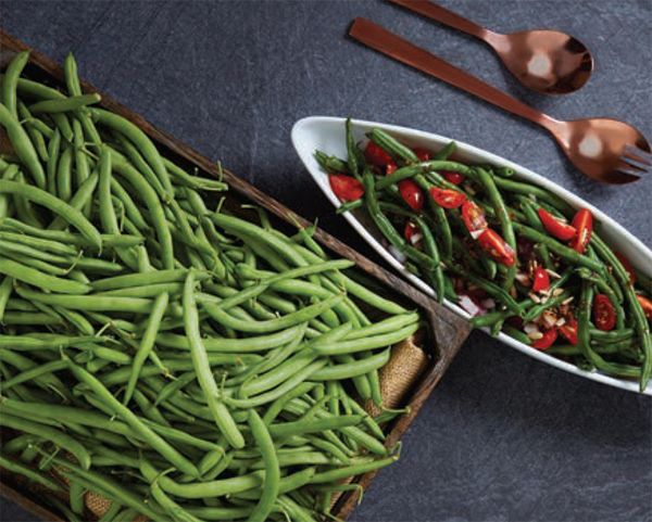 Green Beans from 호주 supplied by Trandos Farms - Green 클러스터콩