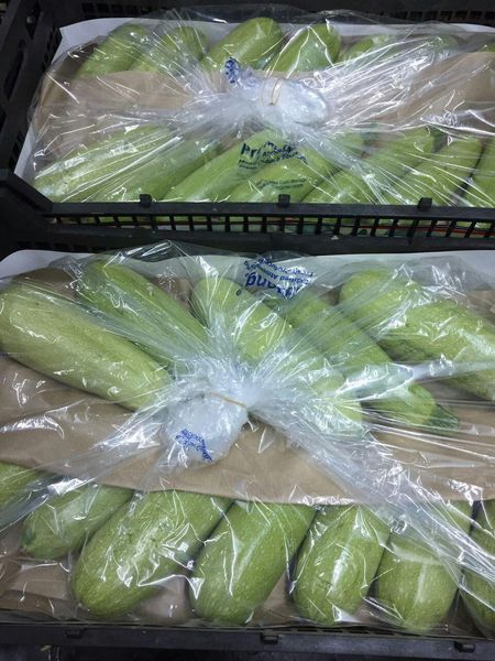 Squash from Iran supplied by Safiran Sepehr Paya - Size: 12-16s Other Squash & Other Pumpkin