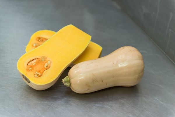 Butternut from South Africa supplied by Habata - Raw (=Natural) Butternut