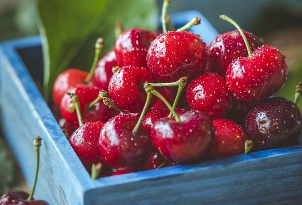 Sweet Heart Cherry from Canada supplied by Mrt Natural Fresh - Red Fresh Sweet Cherry