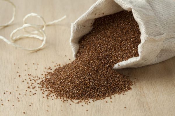 Teff Brown Grain from 남아프리카공화국 supplied by Icon Foods International - As per customer's request 테프