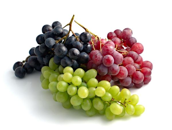 Grape from 이집트 supplied by Arena Holding - Allison 신선 포도