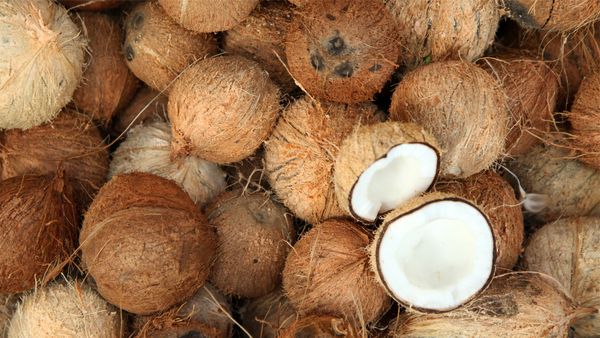 Fresh Dry Mature Coconut from 인도네시아 supplied by LA Universal Trade - Raw 기타 신선 코코넛