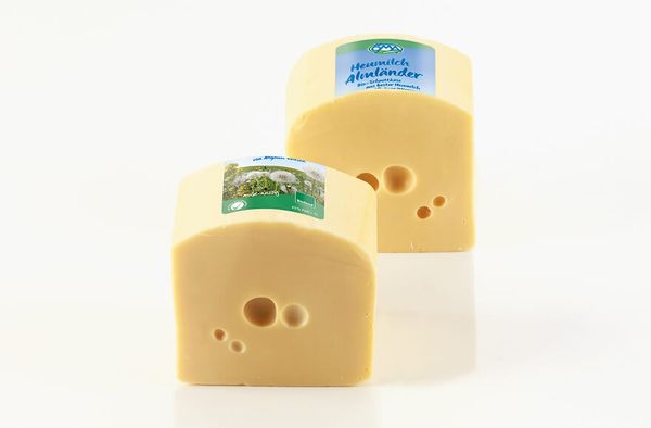 Organic Sliced Cheese from 독일 supplied by ÖMA Beer GmbH - Pasteurized 기타 치즈