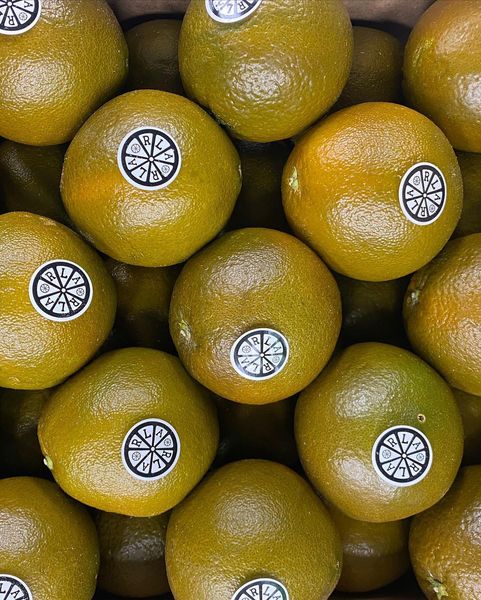 Fresh Organic Mandarin from Germany supplied by Fruit's Best - Green Fresh Mandarin