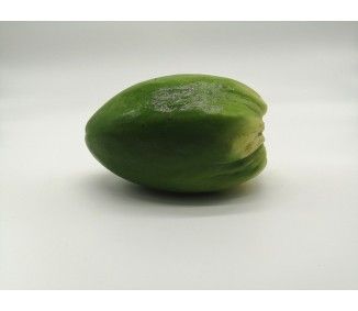 Papaya from 스페인 supplied by ALTA NATIVE - Carton Box (=Cardboard Box) 신선 파파야