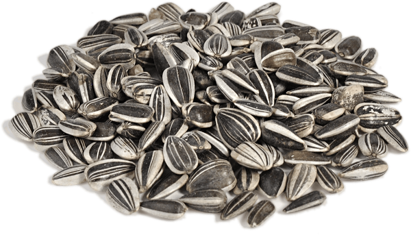 Sunflower Seed from Netherlands supplied by Red River - Van Eck BV - Hulled Sunflower Seed