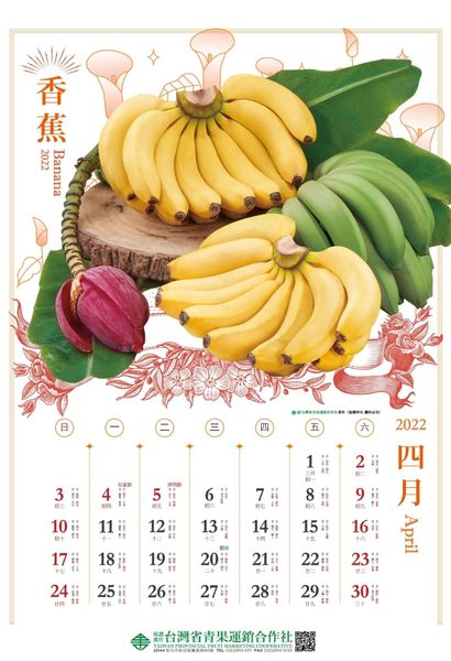 Banana from 대만 supplied by TAIWAN PROVINCIAL FRUIT MARKETING COOPERATIVE - Yellow 신선 바나나