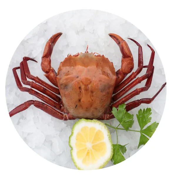 Sweet Deep Sea Red Crab from United States supplied by Carthage Crabs - Frozen Fresh Crab