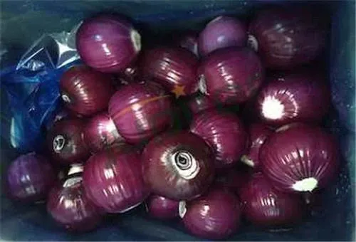 Fresh Onion from China supplied by Qingdao Jupiter International Trading Co., Ltd. - Vacuum Packed (=VAC) Fresh Onion