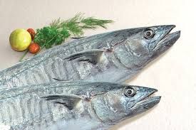 Mackerel from 베트남 supplied by Ngoc Tung Co., Ltd - With Bone 냉동 고등어