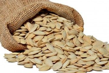 Pumpkin Seed from 튀르키예 supplied by Karakaya Kuruyemis - Seed (=In Shell) 호박 씨