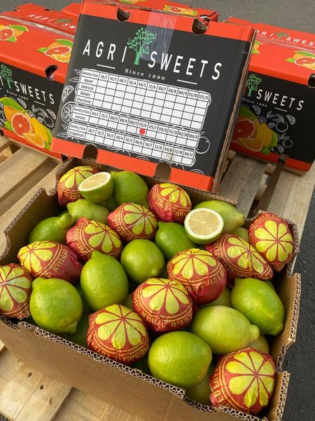lemon from 이집트 supplied by agrisweets - 크기: 100-113 신선 레몬