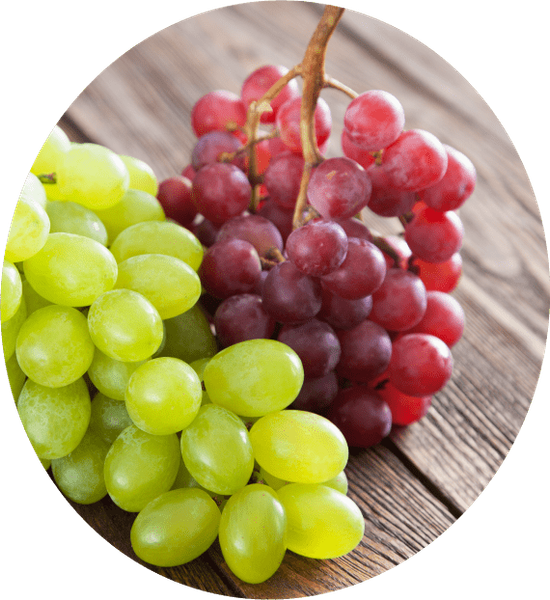 Grape from 이탈리아 supplied by Pignataro - Fresh (=Chilled) 신선 포도