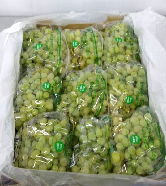 Grapes from Chile supplied by Exportadora Entre Valles - Green (=Unripe=Sour) Fresh Grape