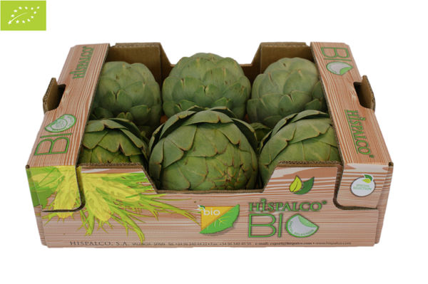 Artichokes from 스페인 supplied by HISPALCO S.A. - Whole 신선 아티초크