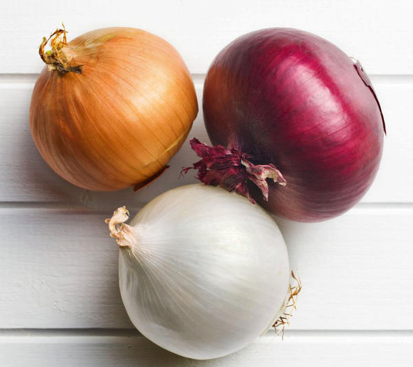 Onion from Netherlands supplied by Wiskerke Onions - Farm Fresh Onion