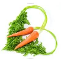 Carrot from 남아프리카공화국 supplied by The Green Scene - Orange 신선 당근