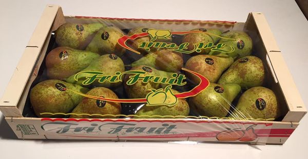 Pear from Spain supplied by Fri-fruit SL - Decana Fresh Pear