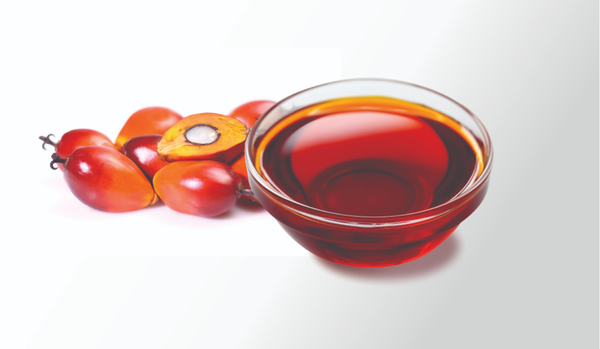 Palm Kernel Oil from Nigeria supplied by Golden Oil Industries Limited - Crude (=Unrefined) Palm Kernel Oil