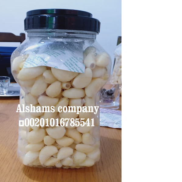 peleed garlic from 이집트 supplied by Al Shams company for general import and export - As per customer's request 마늘 가공품